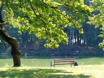Głęboka zatoka i niewielkie wzniesienie usypane przy brzegu stawu – przykłady elementów nadających linii brzegowej zróżnicowaną formę. Fot. Martyna Walker 2015.