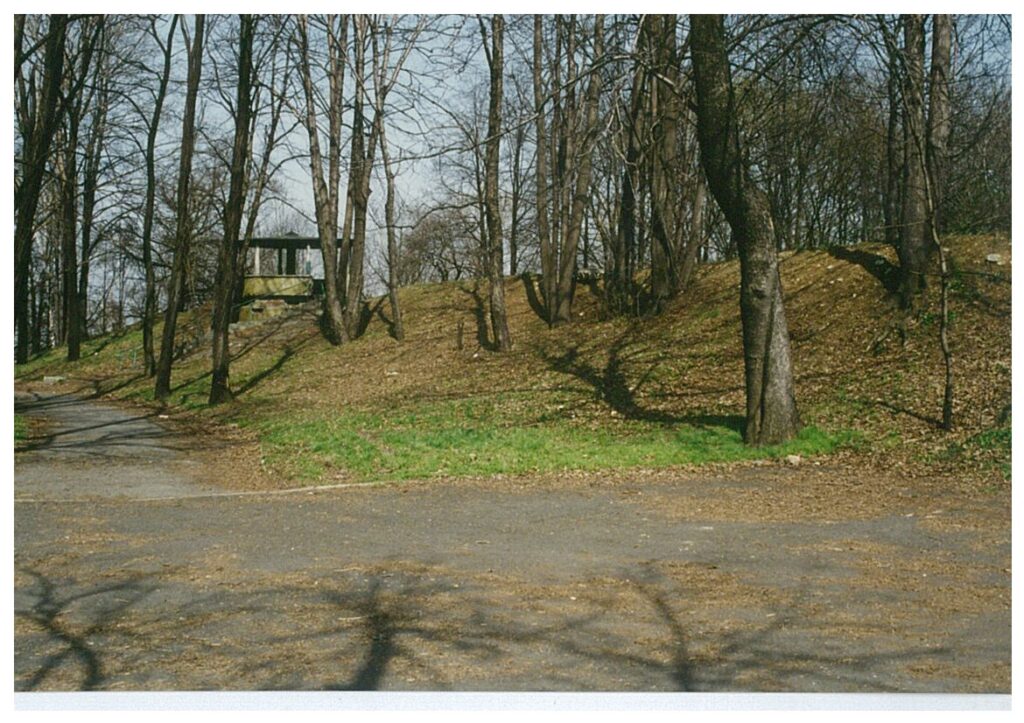 Grodzisko w Będzinie. Fot. E. Tomczak