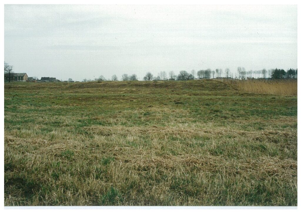 Grodzisko w Ciochowicach. Fot. E. Tomczak (1994)