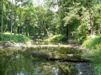 Północny odcinek fosy otaczającej zamek, w części środkowej ceglana obudowa jazu wyprowadzającego wody zasilające „rzekę angielską”. Fot. Martyna Walker 2015.
