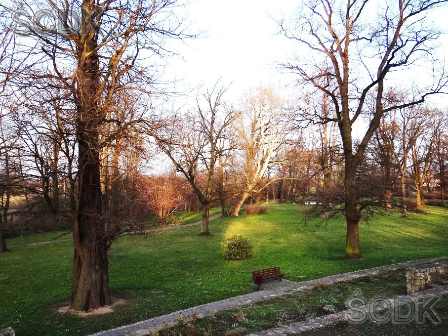 Park otoczający pałac