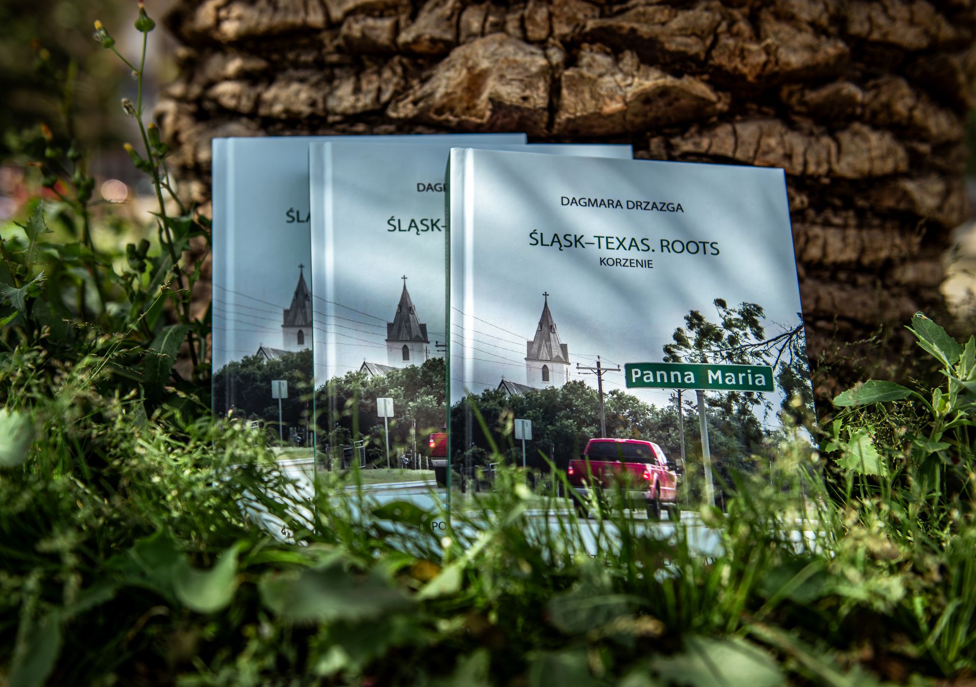 Trzy egzemplarze książki „ŚLĄSK–TEXAS. ROOTS KORZENIE” na tle trawy